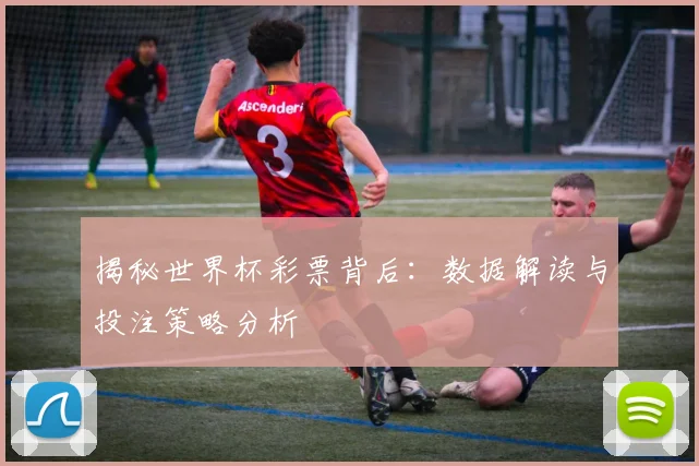 揭秘世界杯彩票背后：数据解读与投注策略分析