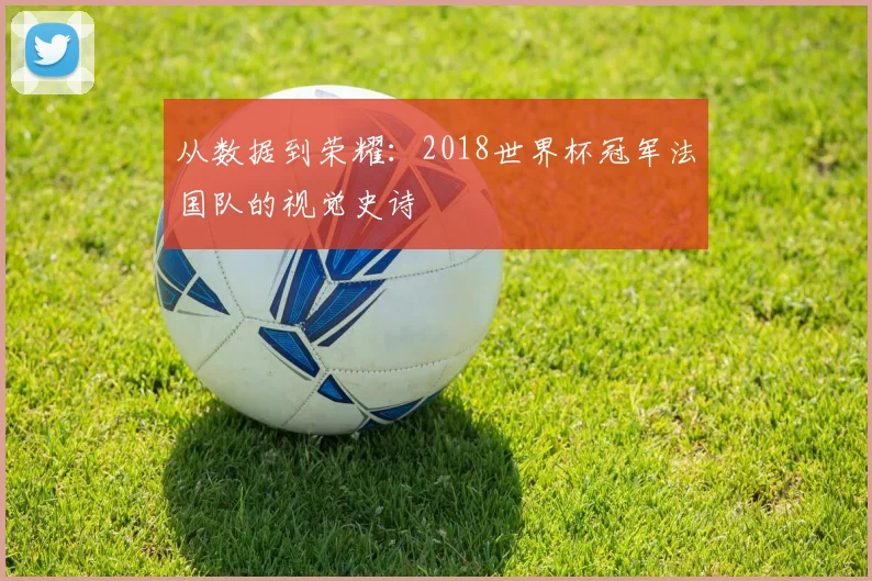 从数据到荣耀：2018世界杯冠军法国队的视觉史诗