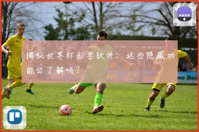 揭秘世界杯彩票软件:这些隐藏功能你了解吗?