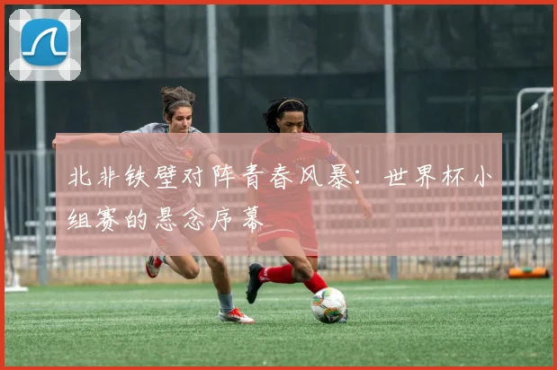 北非铁壁对阵青春风暴:世界杯小组赛的悬念序幕