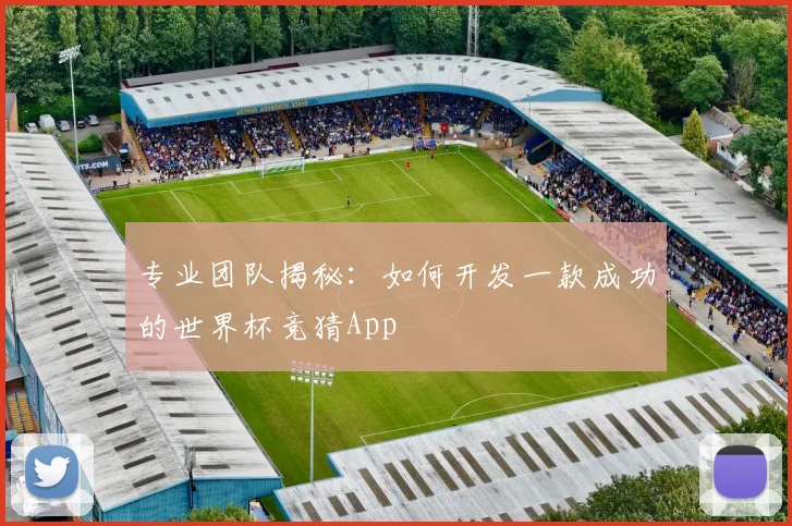 专业团队揭秘：如何开发一款成功的世界杯竞猜App