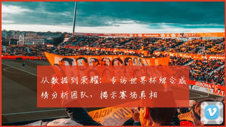 从数据到荣耀：专访世界杯综合成绩分析团队，揭示赛场真相