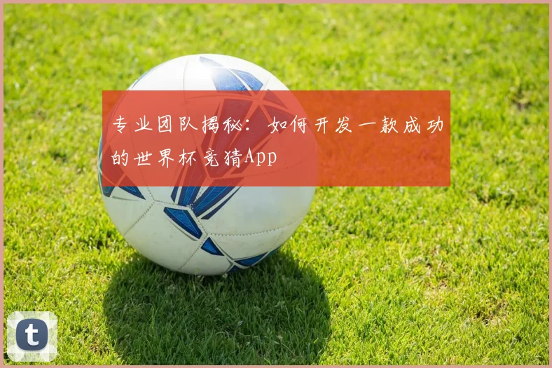 专业团队揭秘:如何开发一款成功的世界杯竞猜App