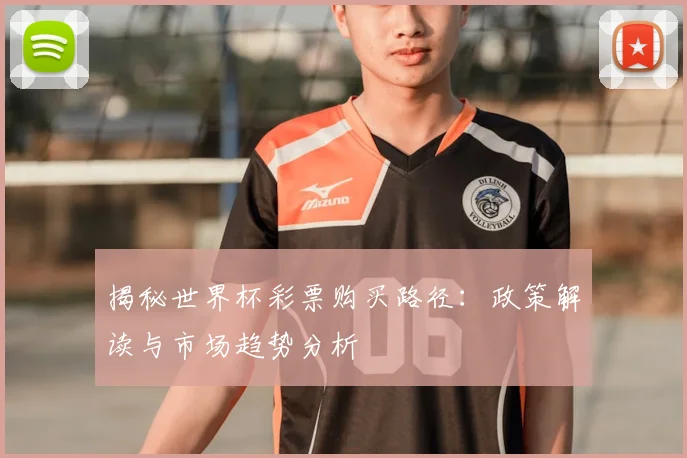 揭秘世界杯彩票购买路径：政策解读与市场趋势分析