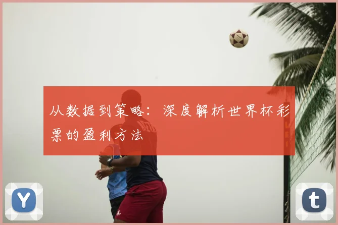 从数据到策略：深度解析世界杯彩票的盈利方法