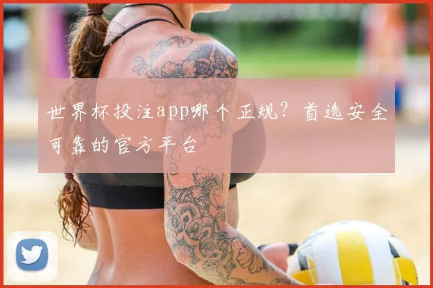 世界杯投注app哪个正规？首选安全可靠的官方平台